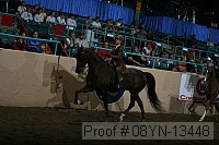 08yn-13448 proof