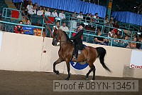 08yn-13451 proof