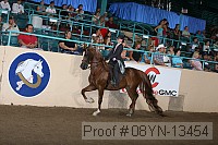 08yn-13454 proof