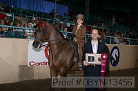 08yn-13456 proof