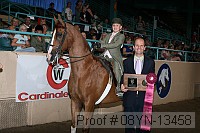 08yn-13458 proof