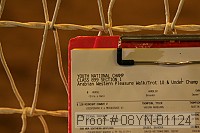 08yn-01124 proof