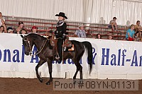 08yn-01131 proof