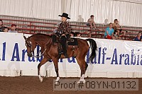 08yn-01132 proof
