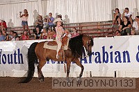 08yn-01133 proof