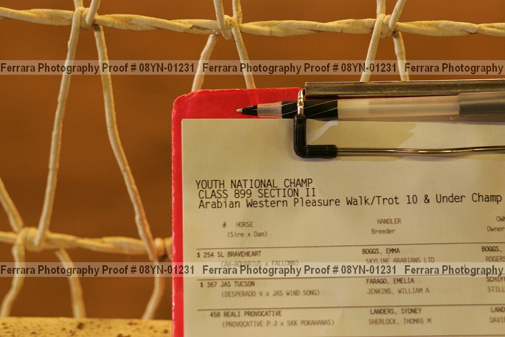 Proof 08yn-01231