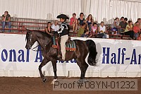 08yn-01232 proof