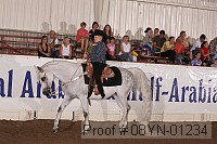 08yn-01234 proof