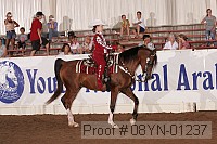 08yn-01237 proof
