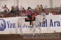08yn-01238 proof