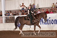 08yn-01240 proof