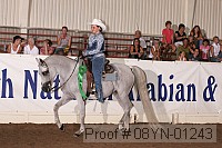 08yn-01243 proof