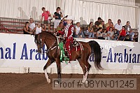08yn-01245 proof