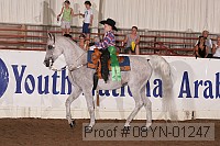 08yn-01247 proof