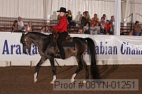 08yn-01251 proof