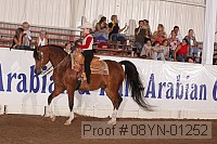 08yn-01252 proof