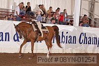 08yn-01254 proof