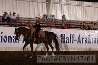 08yn-17461 proof