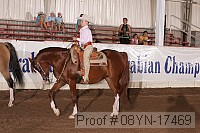 08yn-17469 proof