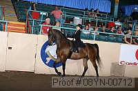 08yn-00712 proof