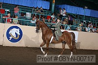 08yn-00717 proof