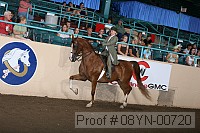 08yn-00720 proof