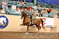 08yn-00722 proof