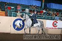 08yn-00740 proof