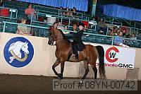 08yn-00742 proof
