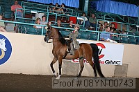 08yn-00743 proof