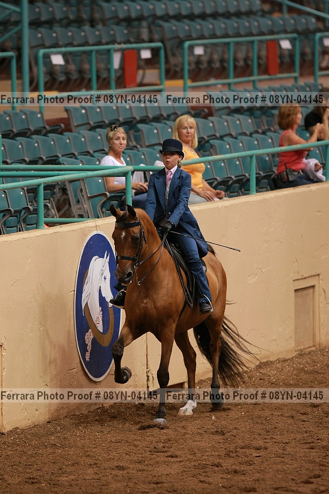 Proof 08yn-04145
