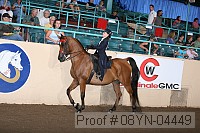 08yn-04449 proof
