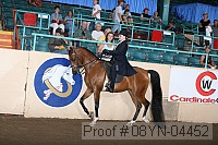 08yn-04452 proof