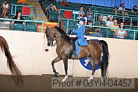08yn-04457 proof