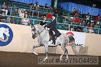 08yn-04458 proof