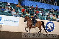 08yn-04460 proof