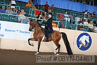 08yn-04461 proof