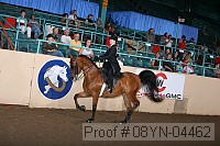 08yn-04462 proof