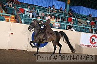 08yn-04463 proof