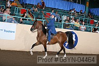 08yn-04464 proof