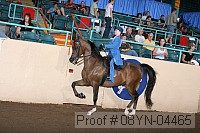 08yn-04465 proof