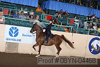 08yn-04468 proof
