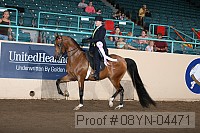 08yn-04471 proof