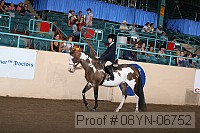 08yn-06752 proof
