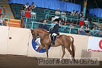 08yn-06757 proof