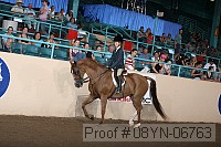 08yn-06763 proof