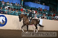 08yn-06764 proof