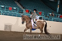 08yn-06774 proof