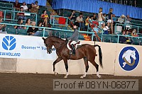 08yn-06877 proof