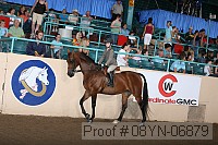 08yn-06879 proof